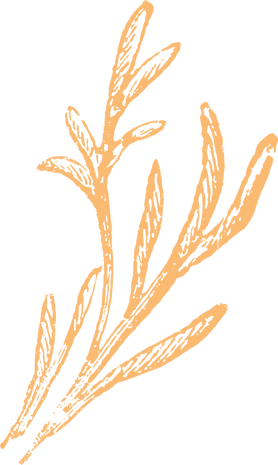 shape-01.png